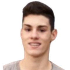 Dusan Obradovic