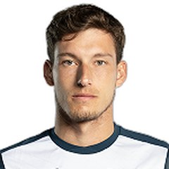 Pablo Carreno Busta