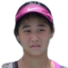Han Shi